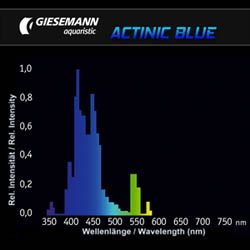 Giesemann GS00556 Actinic Blue 39W 36" T5 Ho Lamp (Gm-T5-Ab)